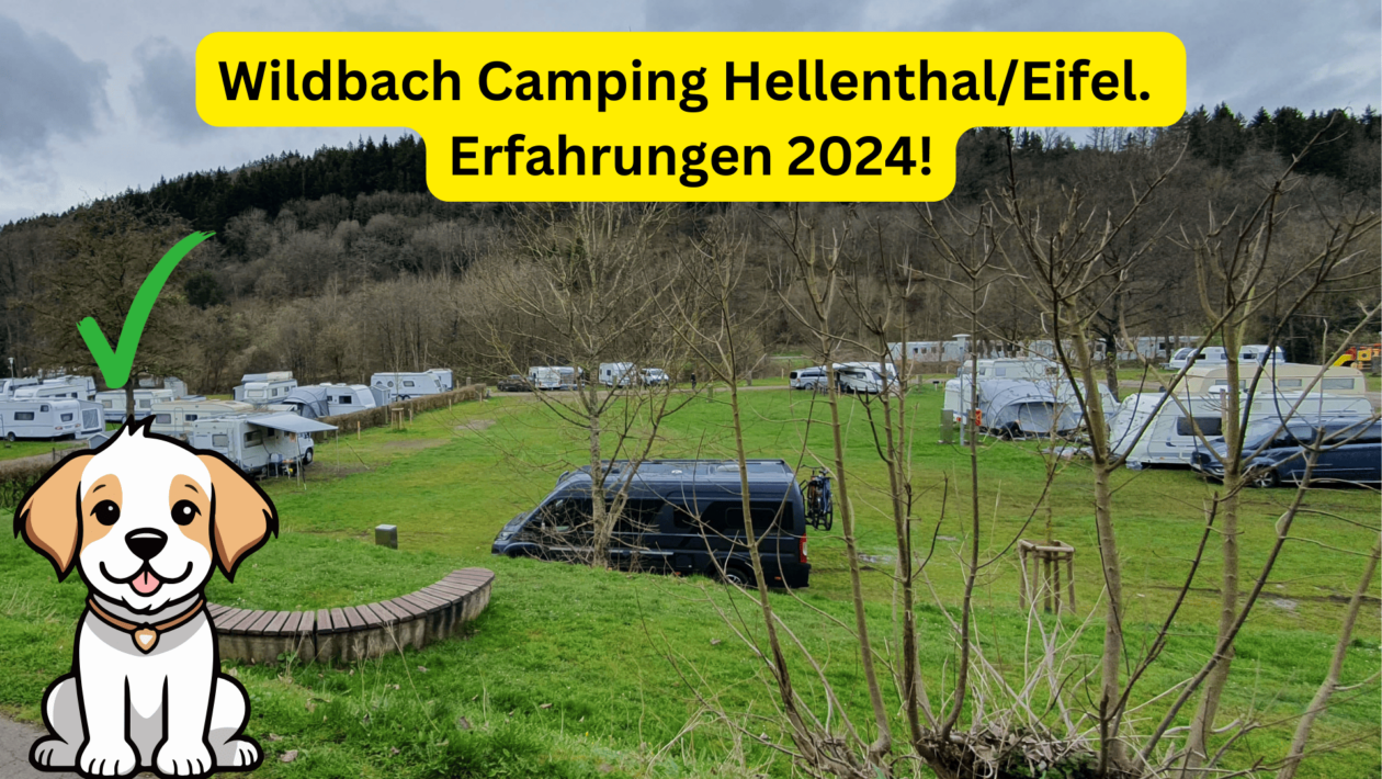Wildbach Camping Hellenthal Eifel. Erfahrungen 2024! Hunde erlaubt
