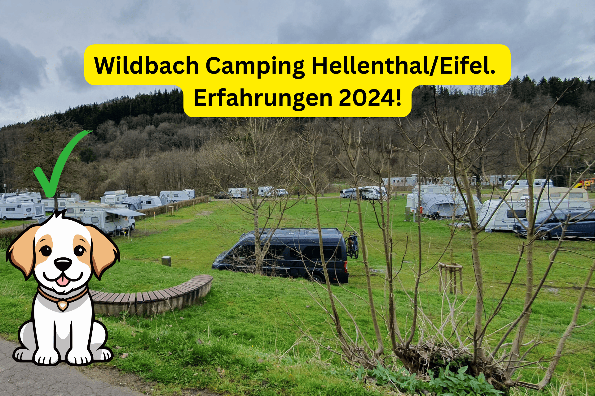 Wildbach Camping Hellenthal Eifel. Erfahrungen 2024! Hunde erlaubt